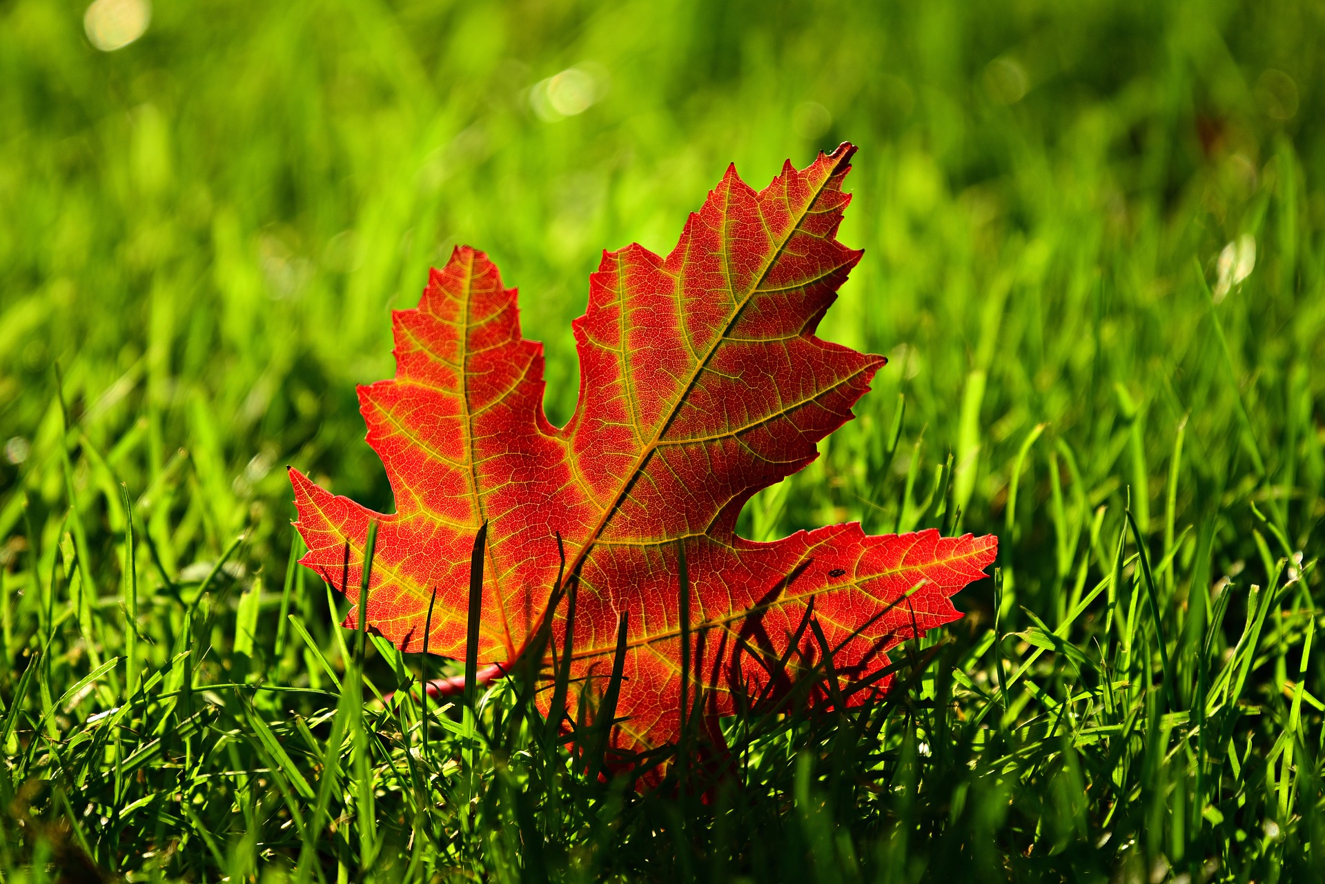 Herbstferien geschlossen