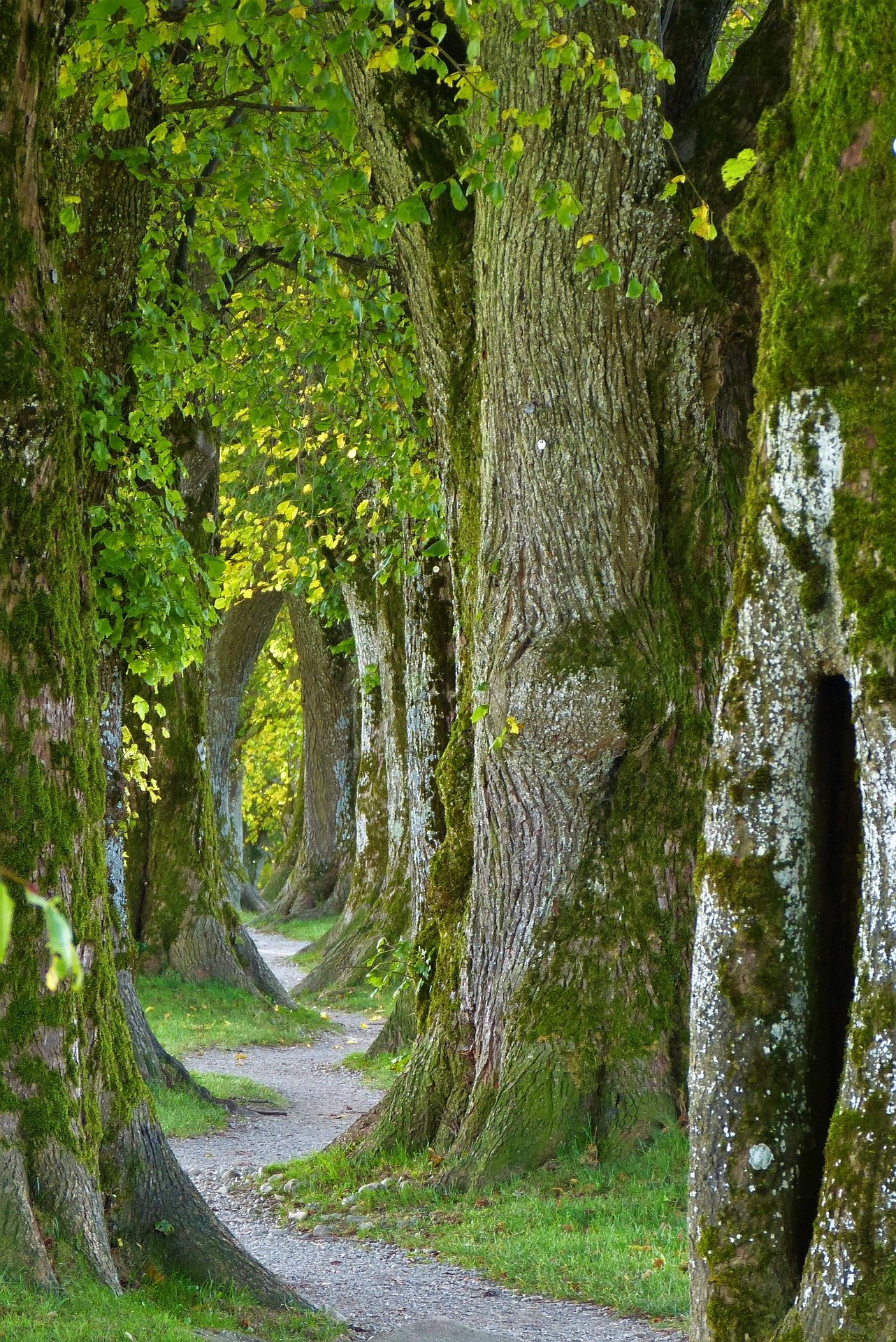 Berufsschule geht weiter, nur der Weg ist anders ...