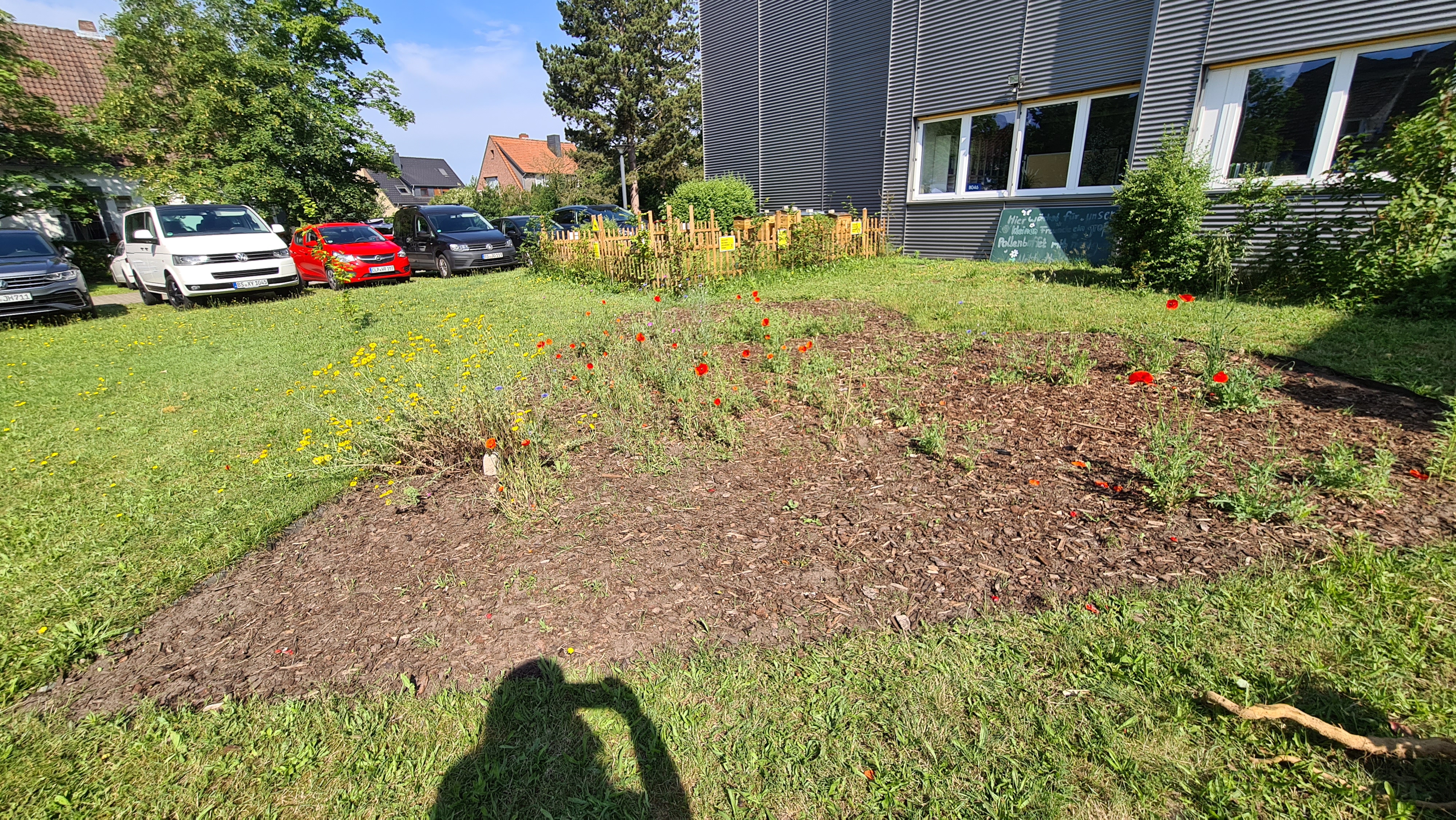 Herz