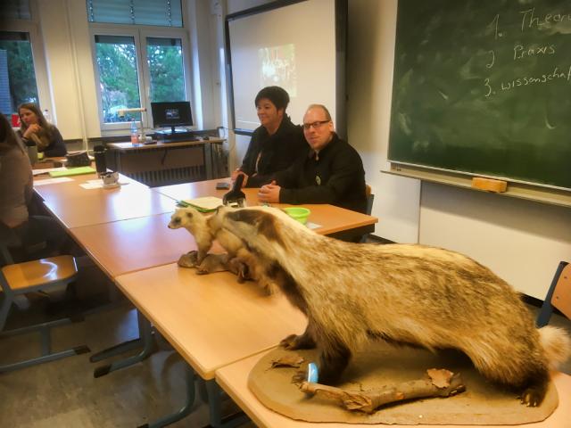 Zusatzqualifikation3