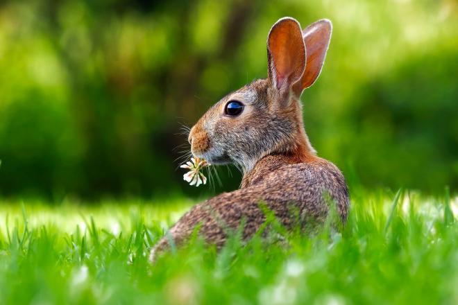 Frohe Ostern - Öffnungszeiten