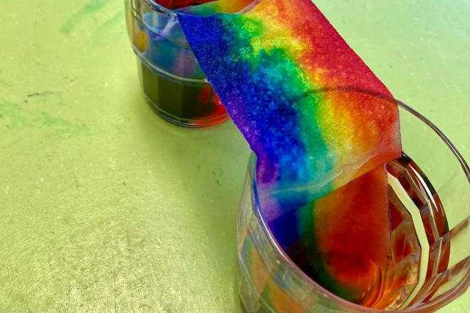 Regenbogenwurm